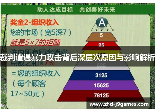 裁判遭遇暴力攻击背后深层次原因与影响解析